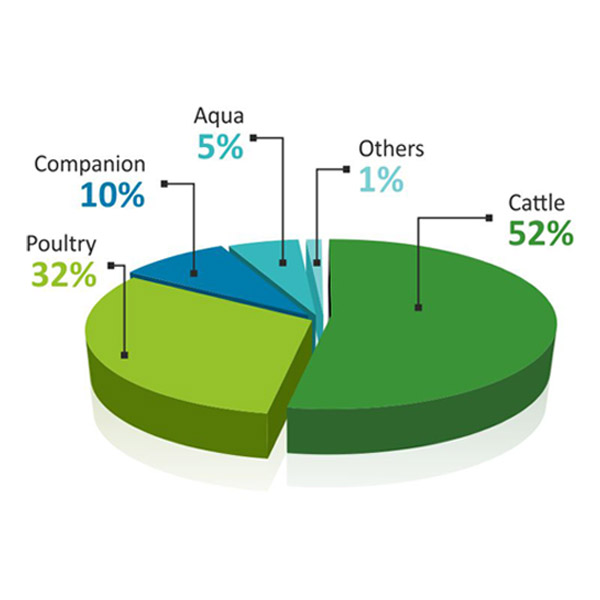 Indian Animal Health Market