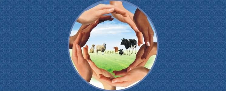 Animal Husbandry :: Indian Federation of Animal Health Companies (INFAH)