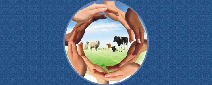 Indian AH Industry :: Indian Federation of Animal Health Companies (INFAH) Indian AH Industry :: Indian Federation of Animal Health Companies (INFAH)